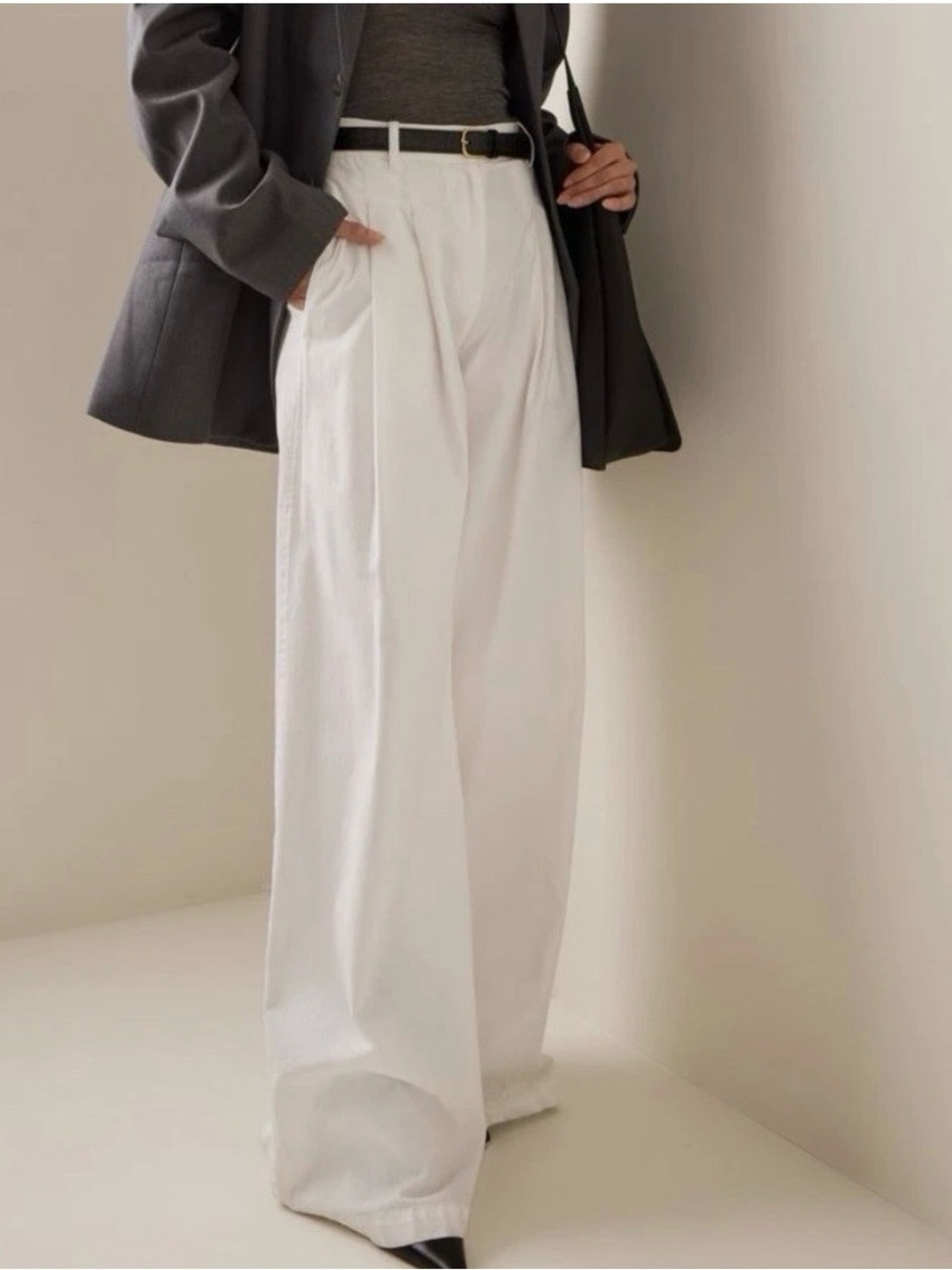 Sz2 Nili Lotan Dillon Wide-Leg Pants